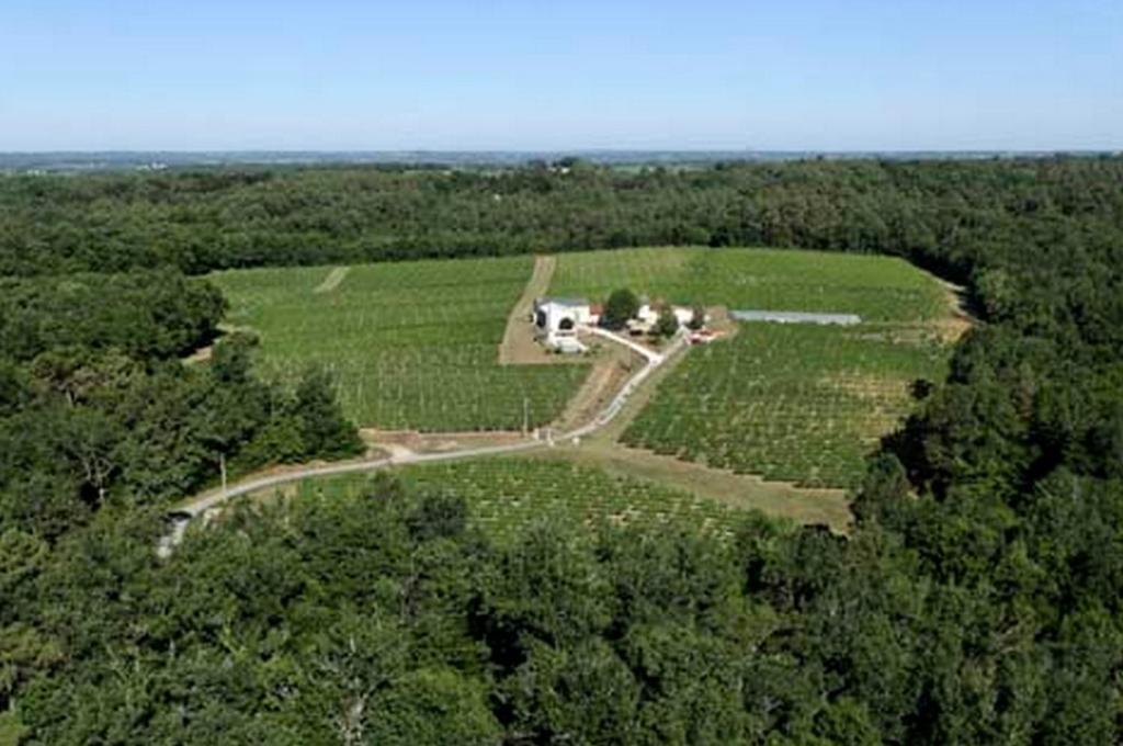 Domaine De Grand Homme Hotel Bordeaux Buitenkant foto