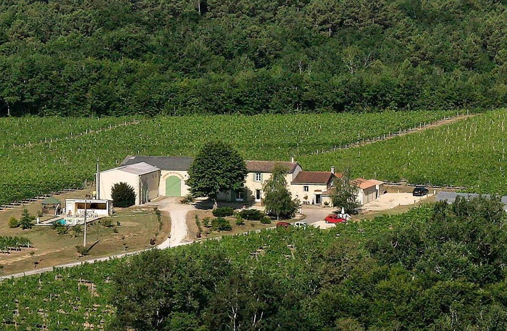 Domaine De Grand Homme Hotel Bordeaux Buitenkant foto